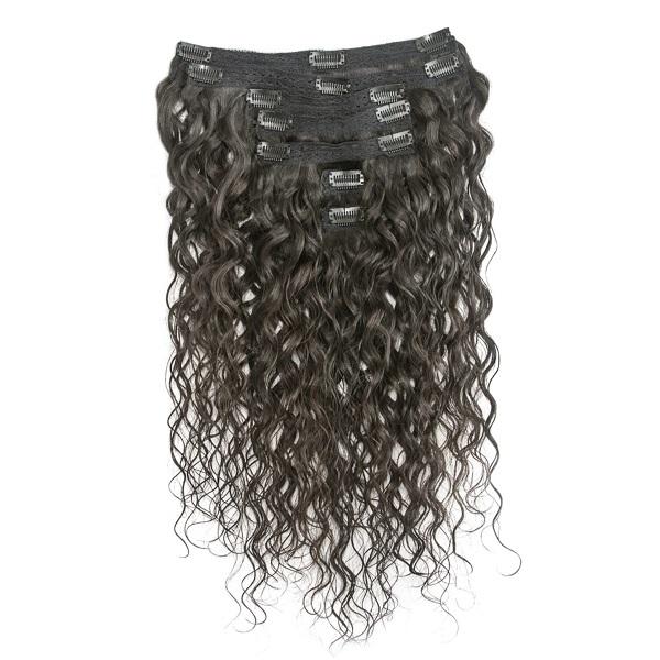 Raw Indian Curly Clip Ins